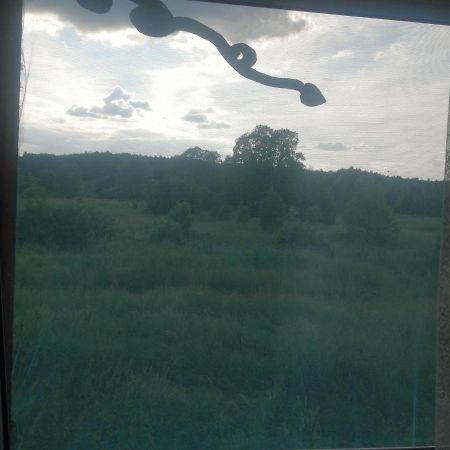 Ostoja Apartman Białowieża Kültér fotó