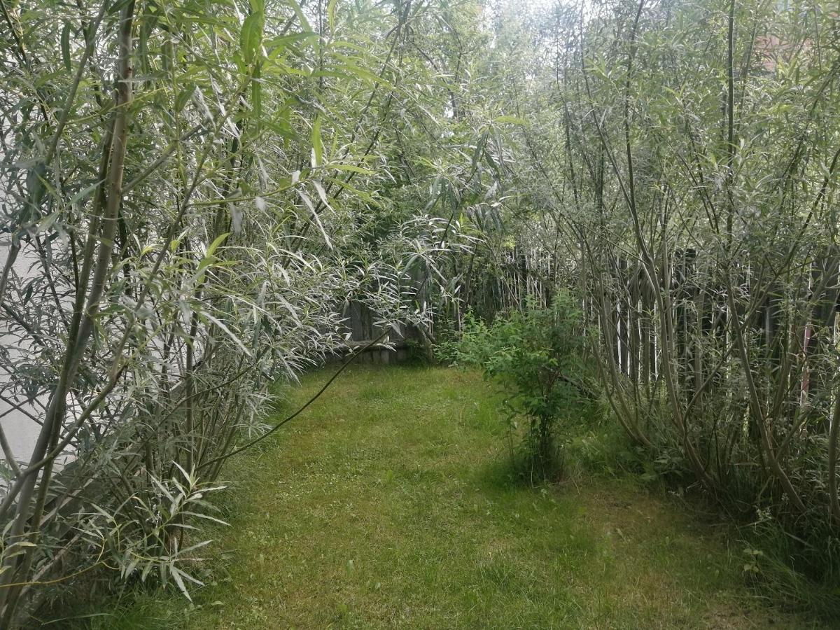 Ostoja Apartman Białowieża Kültér fotó