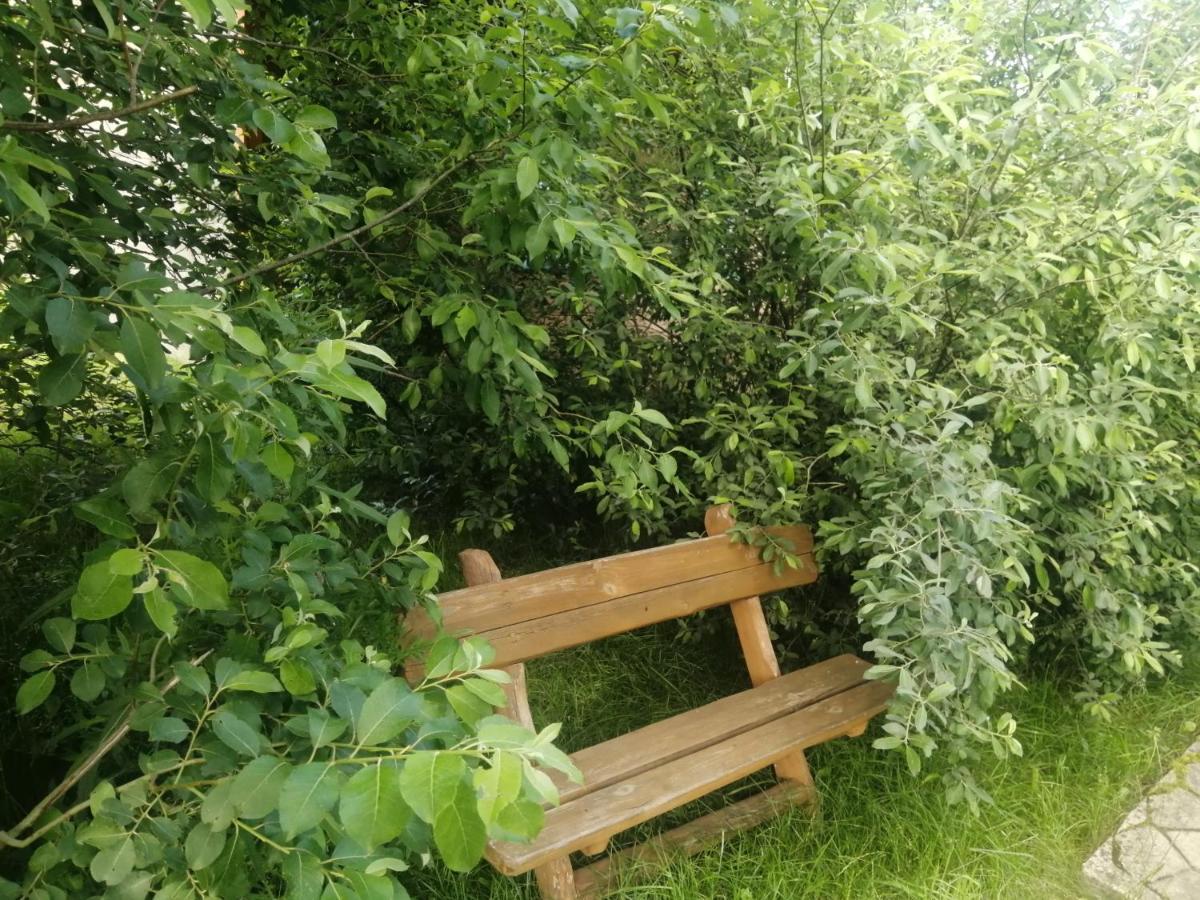 Ostoja Apartman Białowieża Kültér fotó