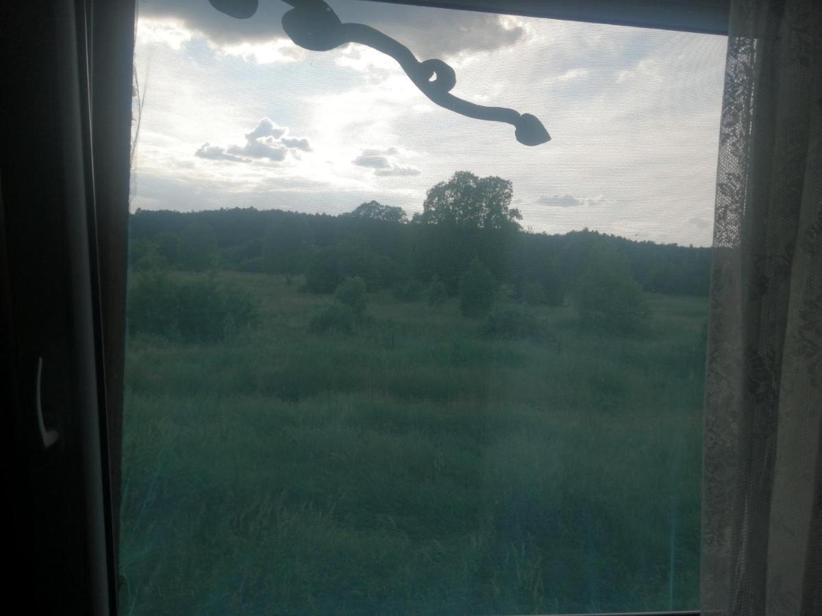 Ostoja Apartman Białowieża Kültér fotó