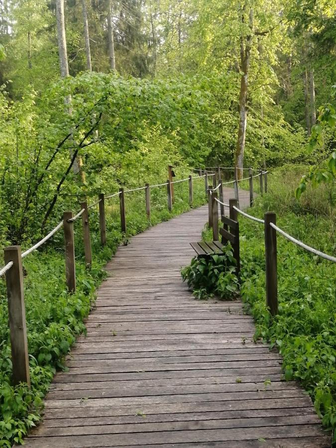 Ostoja Apartman Białowieża Kültér fotó