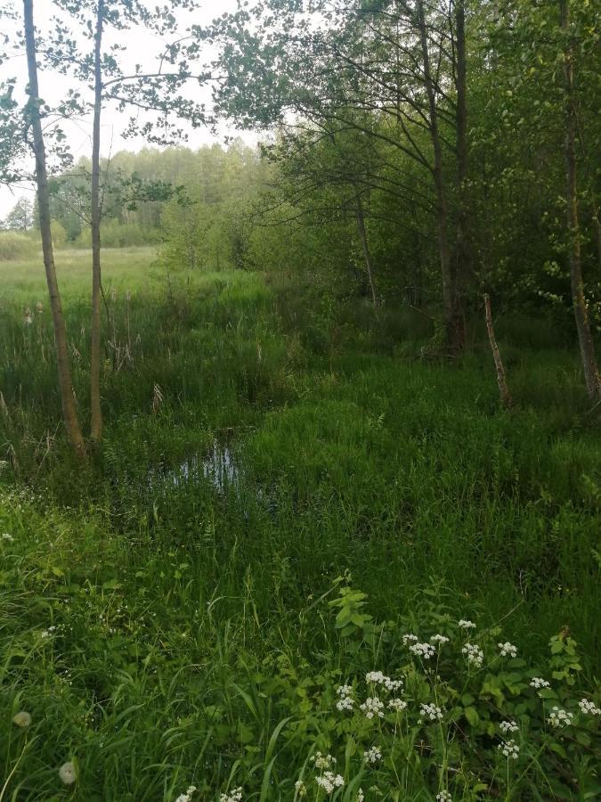Ostoja Apartman Białowieża Kültér fotó