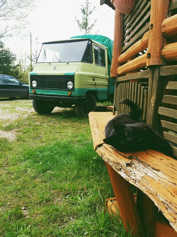 Ostoja Apartman Białowieża Kültér fotó