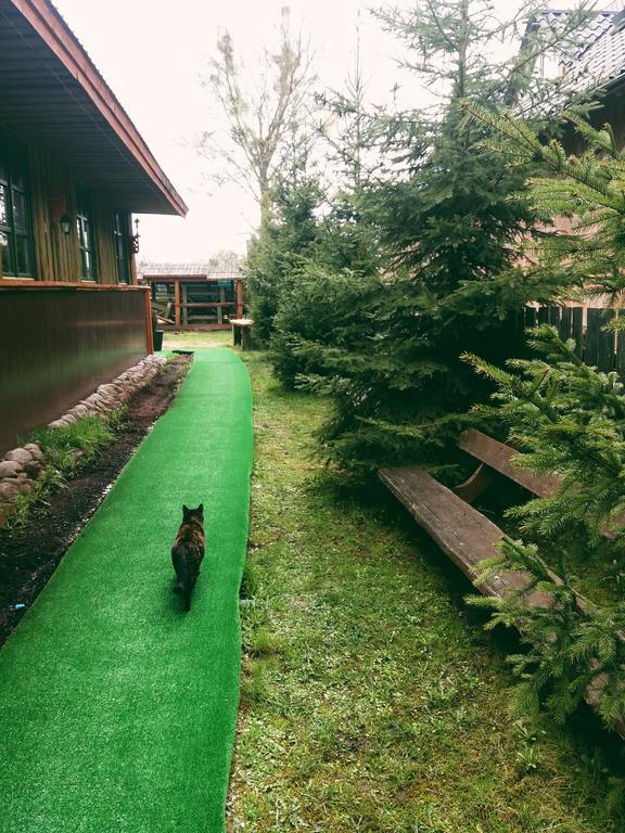 Ostoja Apartman Białowieża Kültér fotó
