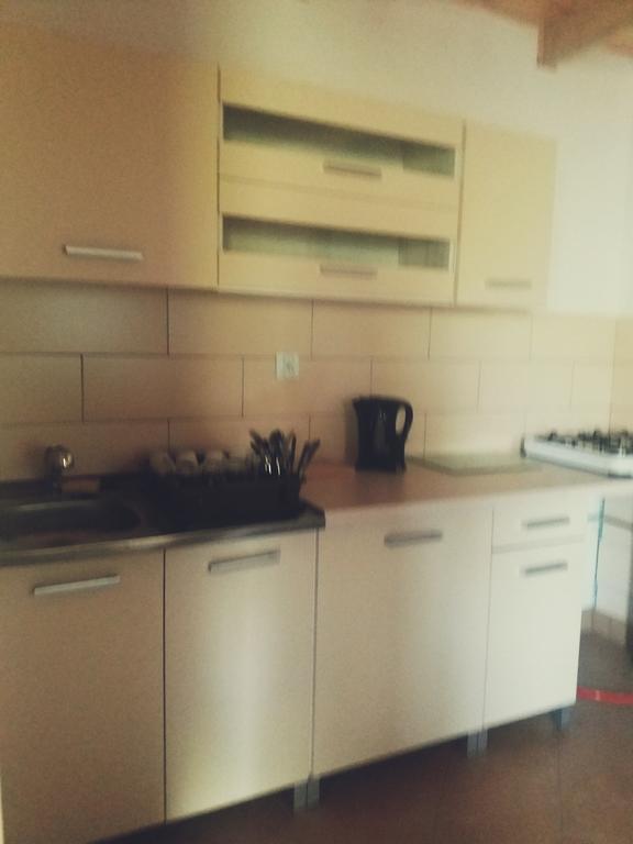 Ostoja Apartman Białowieża Kültér fotó